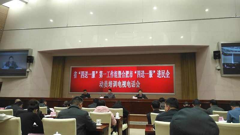 省“四送一服”進民企動員培訓(xùn)電視電話會
